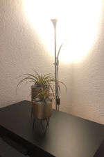 Wohnung In Der Meile Bild 13 Wohnung In Der Meile Bild 13