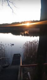 Pension Waldhaus Bild 2 Pension Waldhaus Bild 2