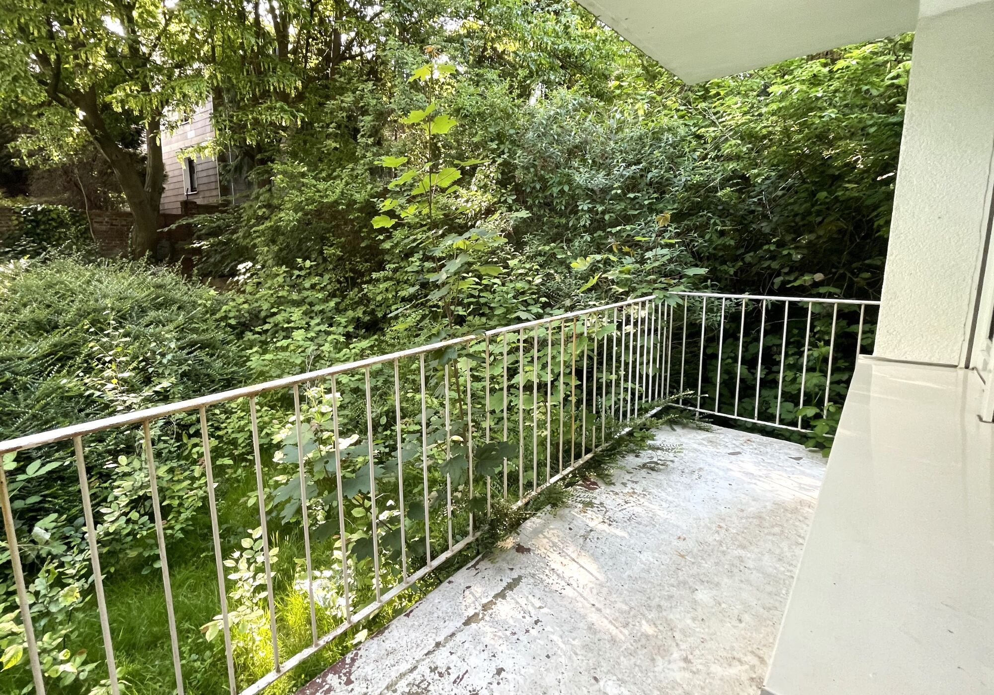 Bild 5 Bild 5