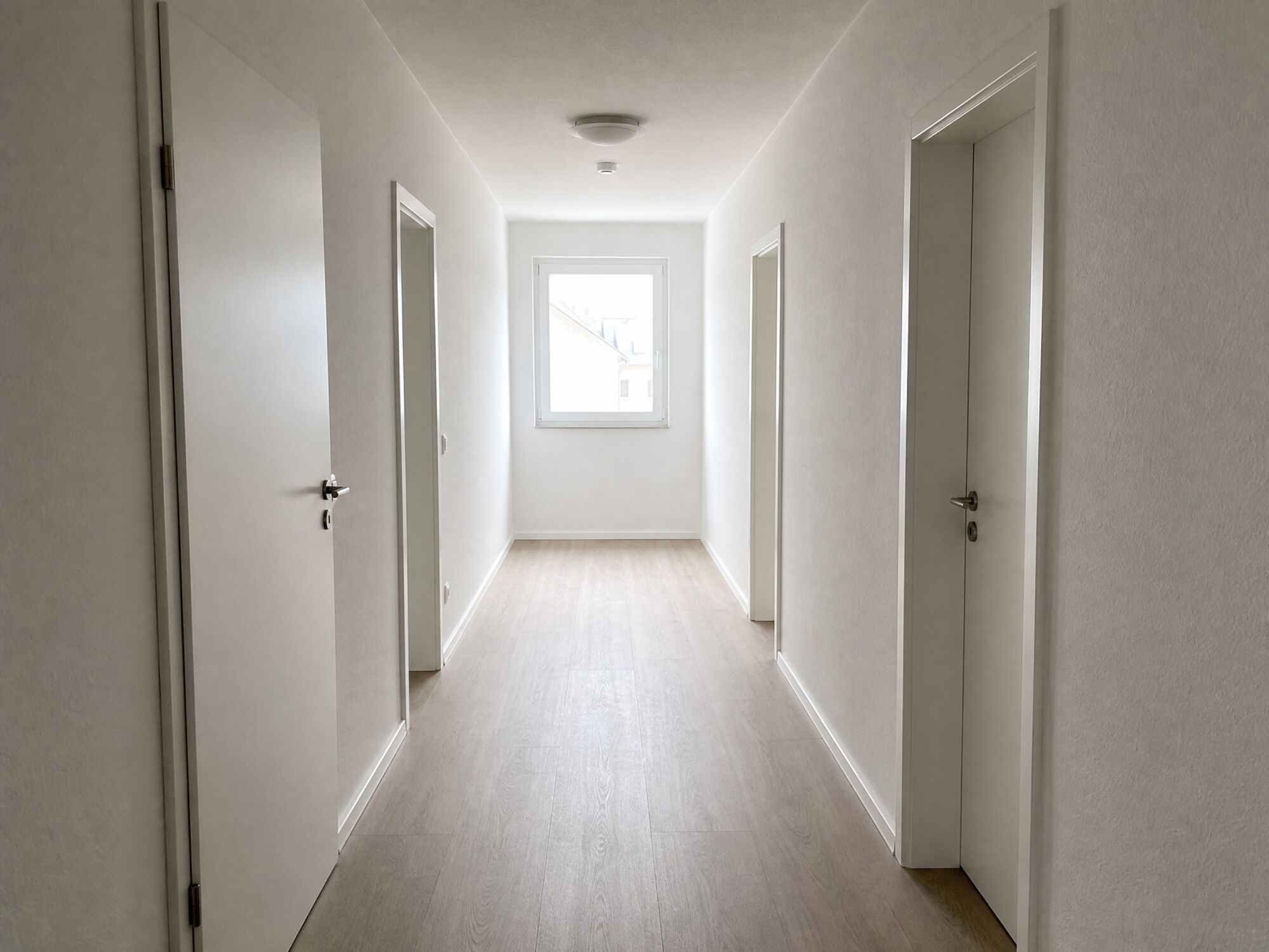 Bild 4 Bild 4