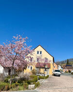 Steigerwald Ferienwohnungen Hofmann Bild 12 Steigerwald Ferienwohnungen Hofmann Bild 12