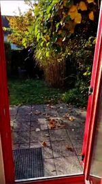 Ausgang zum Garten. Ausgang zum Garten.