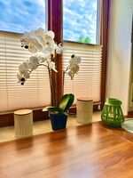 Appartement Bergblick Bild 10 Appartement Bergblick Bild 10