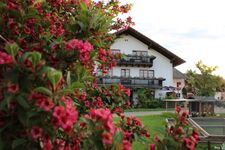 Bauernhof Voit Bild 6 Bauernhof Voit Bild 6