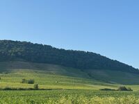 Panorama 180° Bild 22 Panorama 180° Bild 22