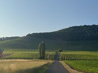 Panorama 180° Bild 21 Panorama 180° Bild 21