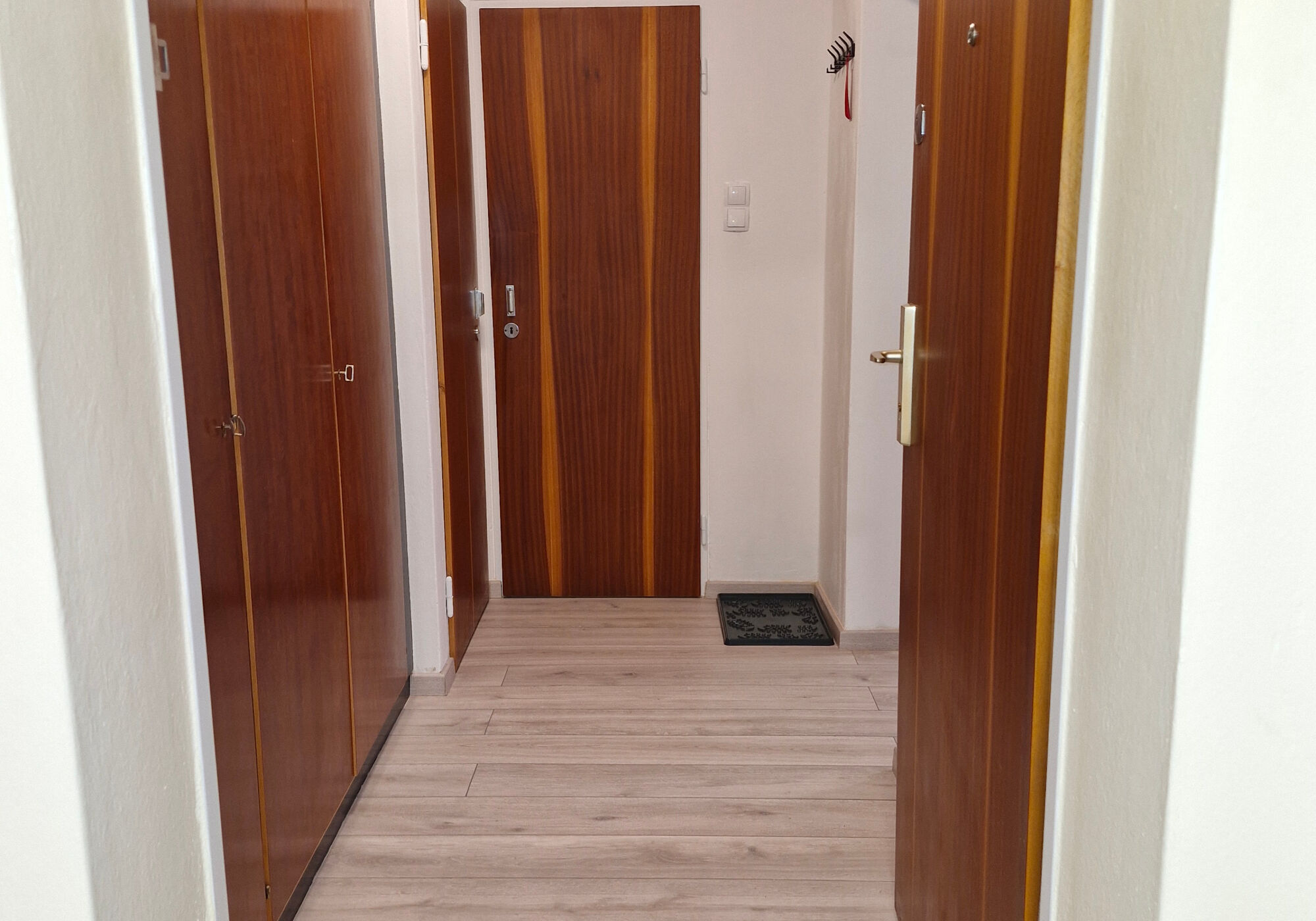 Bild 5 Bild 5
