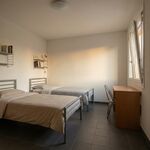 🌿 Ruhepol Unterkunft Bild 1 🌿 Ruhepol Unterkunft Bild 1