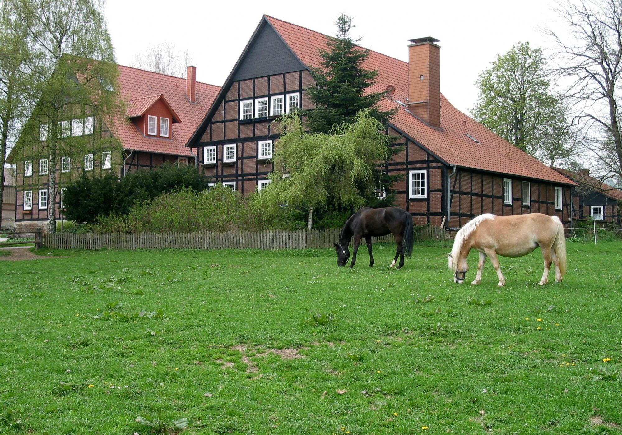 Bild 1 Bild 1