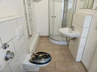 Praktische 1-Zimmer-Wohnungen nahe Innenstadt Bild 1 Praktische 1-Zimmer-Wohnungen nahe Innenstadt Bild 1