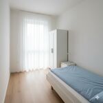 Monteurunterkünfte in Waldlaubersheim – 24h Check-In Bild 2 Monteurunterkünfte in Waldlaubersheim – 24h Check-In Bild 2