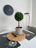 Urban Heaven-Zentral-5 Betten-WLAN-Parkplatz Bild 10 Urban Heaven-Zentral-5 Betten-WLAN-Parkplatz Bild 10