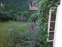 Rattebfänger Lebt Bild 6 Rattebfänger Lebt Bild 6