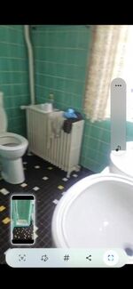 Rattebfänger Lebt Bild 10 Rattebfänger Lebt Bild 10