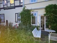 Rattebfänger Lebt Bild 11 Rattebfänger Lebt Bild 11