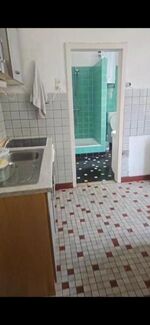 Rattebfänger Lebt Bild 9 Rattebfänger Lebt Bild 9