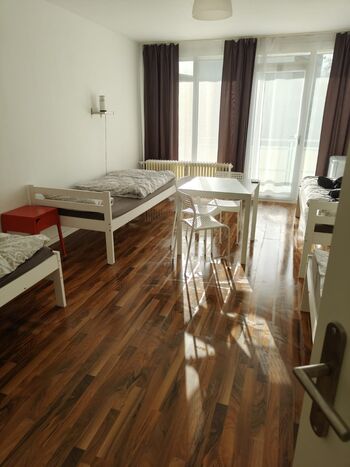 Sie suchen? Wir finden ! Mc.Monty Hamburg Sie suchen? Wir finden ! Mc.Monty Hamburg