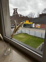 Ein Augenblick vom Weltkulturerbe entfernt! GE1L Bild 16 Ein Augenblick vom Weltkulturerbe entfernt! GE1L Bild 16