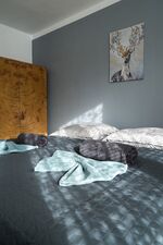 revLIVING Montageluxus Lodge Kleinstelzendorf Hollabrunn Bild 19 revLIVING Montageluxus Lodge Kleinstelzendorf Hollabrunn Bild 19