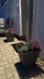 Monteurzimmer Goslar Bild 6 Monteurzimmer Goslar Bild 6