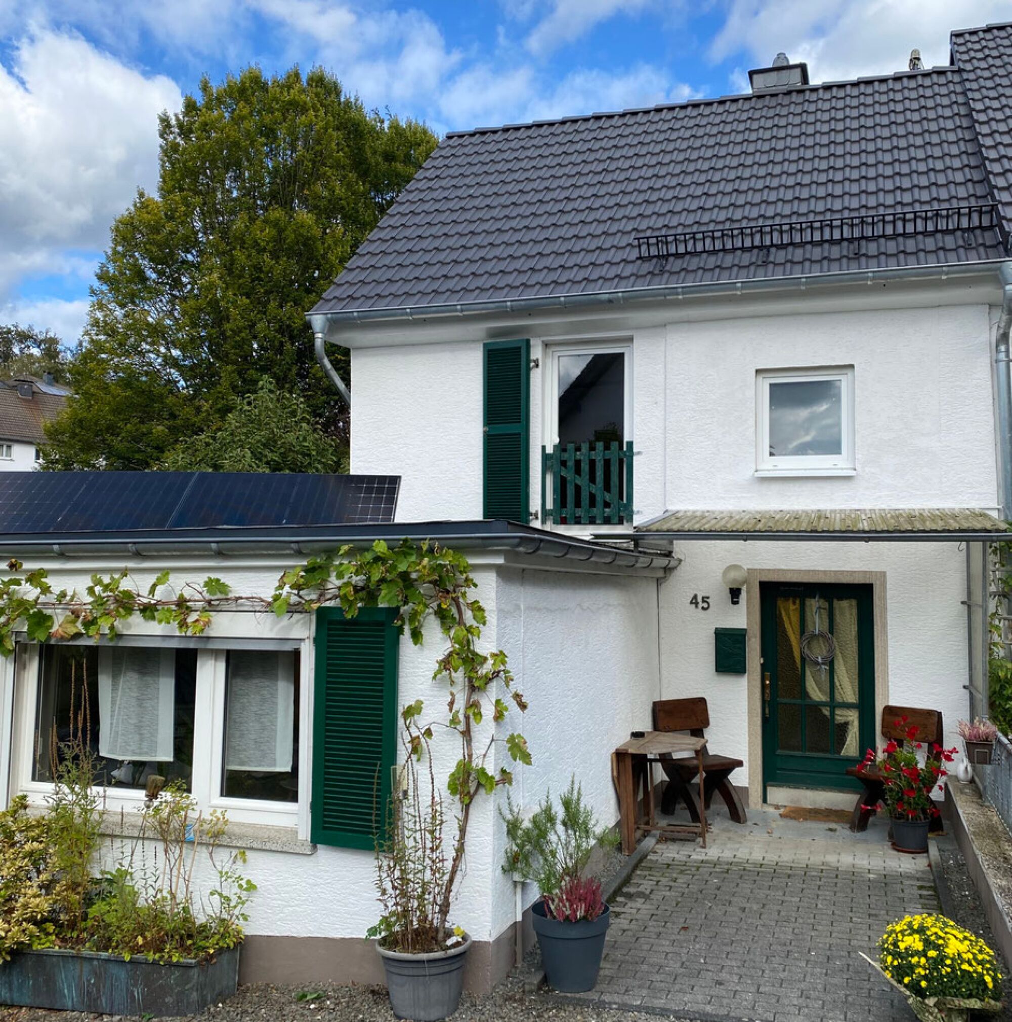 Bild 1 Bild 1