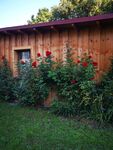 Möbliertes Holzhaus mit Garten - Monteurunterkunft Bild 14 Möbliertes Holzhaus mit Garten - Monteurunterkunft Bild 14
