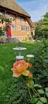 Garten Garten