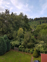 Balkon mit Waldblick Balkon mit Waldblick