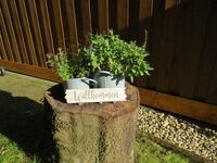 Gästehaus Wildwechsel Bild 14 Gästehaus Wildwechsel Bild 14