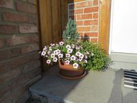 Gästehaus Wildwechsel Bild 11 Gästehaus Wildwechsel Bild 11