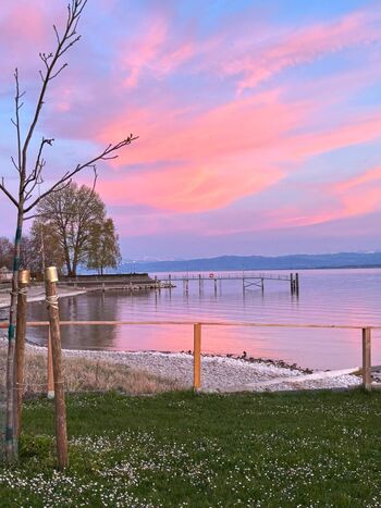 Ruhiges Zimmer mit eigenem Bad, Seelage Meersburg Bild 5 Ruhiges Zimmer mit eigenem Bad, Seelage Meersburg Bild 5