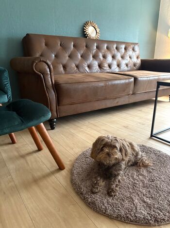 Ferienhaus / Business Haus Salzgitter Nähe Stadtpark Bild 4 Ferienhaus / Business Haus Salzgitter Nähe Stadtpark Bild 4