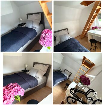 Ferienhaus / Business Haus Salzgitter Nähe Stadtpark Bild 5 Ferienhaus / Business Haus Salzgitter Nähe Stadtpark Bild 5