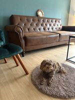 Ferienhaus / Business Haus Salzgitter Nähe Stadtpark Bild 4 Ferienhaus / Business Haus Salzgitter Nähe Stadtpark Bild 4