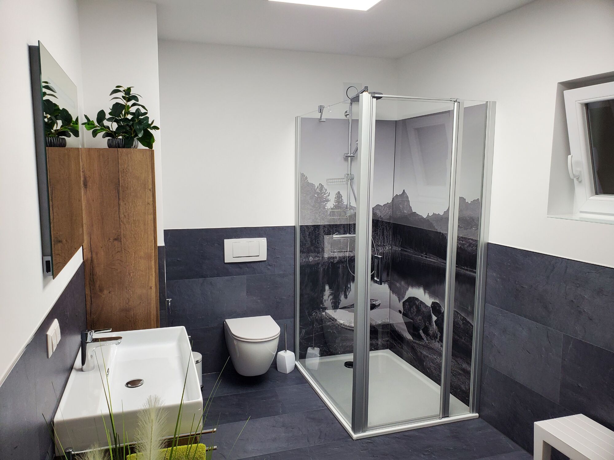 Bild 4 Bild 4