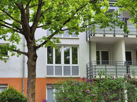 1,5 Raumwohnung mit 4 Schlafplätzen 1,5 Raumwohnung mit 4 Schlafplätzen