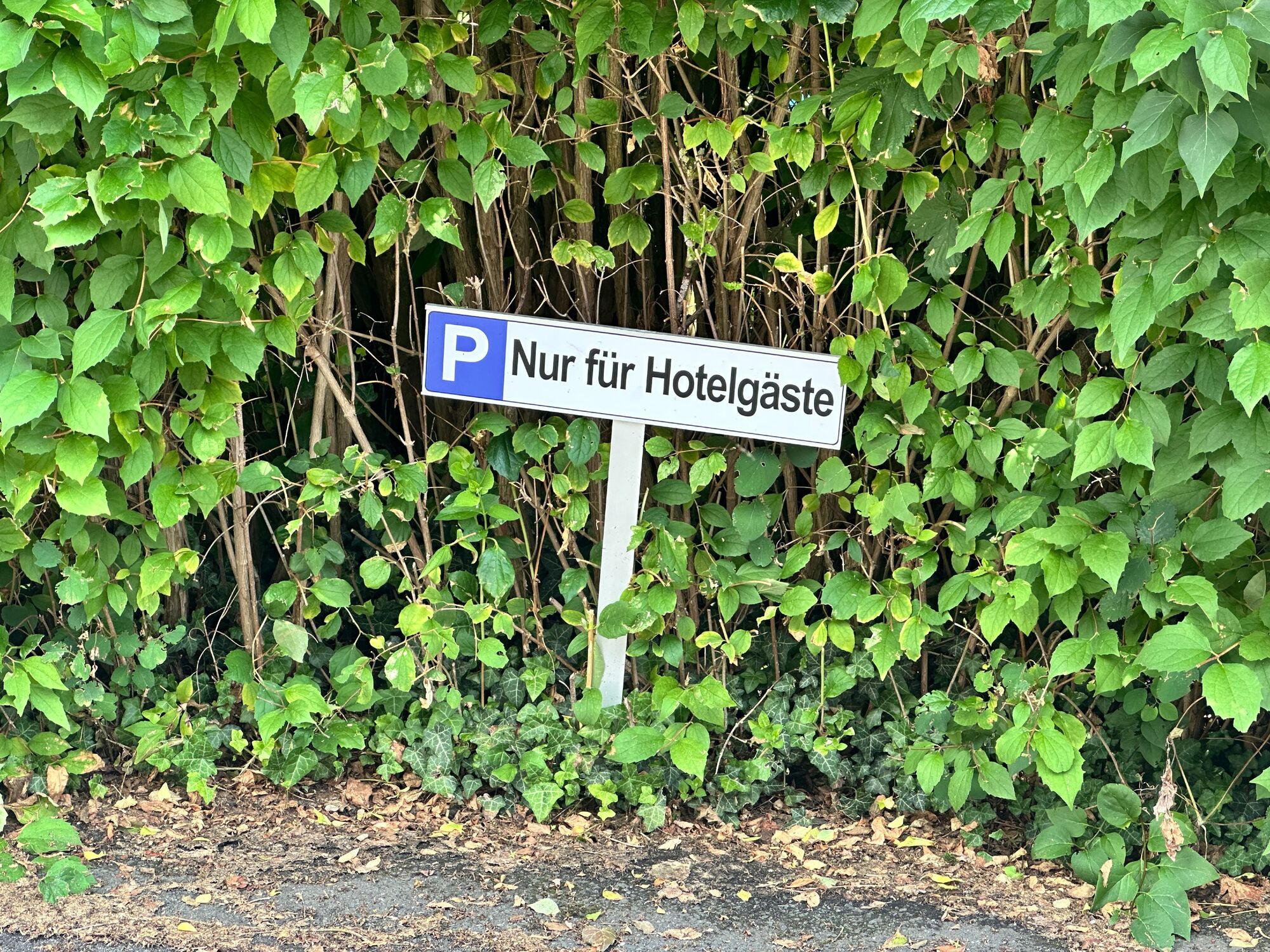 Bild 5 Bild 5