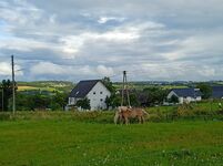 Ruhiges Zimmer auf dem Land Bild 1 Ruhiges Zimmer auf dem Land Bild 1