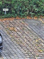 Monteurwohnung Hönow bei Berlin für bis zu 3 Personen | Nähe U-Bahnhof Bild 23 Monteurwohnung Hönow bei Berlin für bis zu 3 Personen | Nähe U-Bahnhof Bild 23