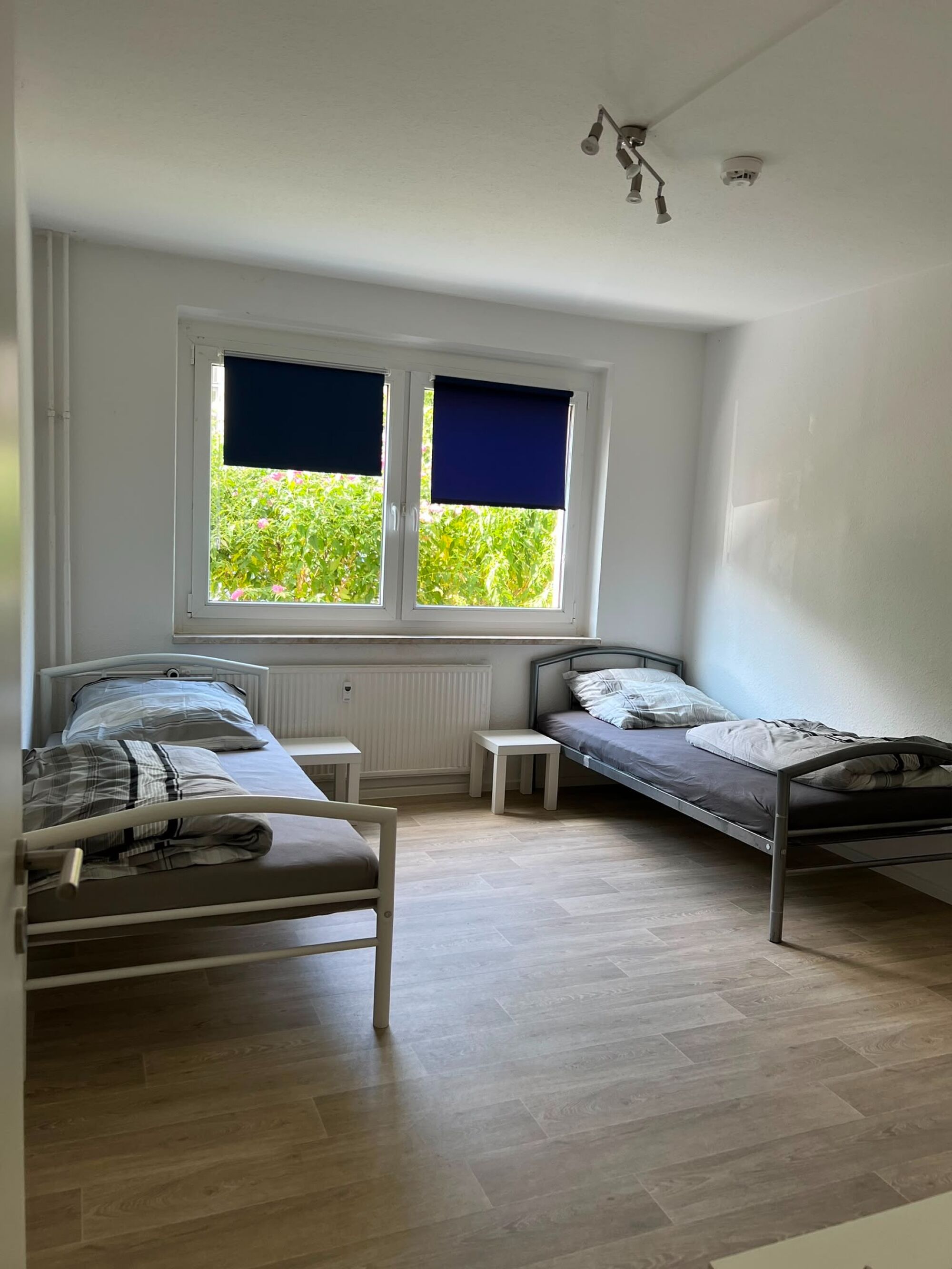 Bild 1 Bild 1