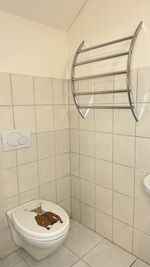 Gästezimmer Hirschen Bild 2 Gästezimmer Hirschen Bild 2