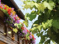 Pension zum Krug Bild 2 Pension zum Krug Bild 2