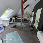 Wohnung Sanders Bild 3 Wohnung Sanders Bild 3