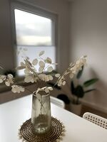 Ruhig und zentral wohnen! MA3R Bild 7 Ruhig und zentral wohnen! MA3R Bild 7