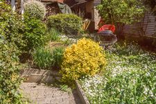 Gemütliches 2 Zimmer Apartment mit Garten und Stauraumfläche Bild 15 Gemütliches 2 Zimmer Apartment mit Garten und Stauraumfläche Bild 15