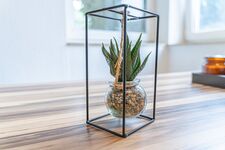 Apartment Wesseling Bild 4 Apartment Wesseling Bild 4