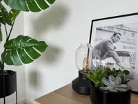 SAP11/ Socha Apartments/ Monteurunterkunft/ Hilden/ 5Pers Bild 8 SAP11/ Socha Apartments/ Monteurunterkunft/ Hilden/ 5Pers Bild 8