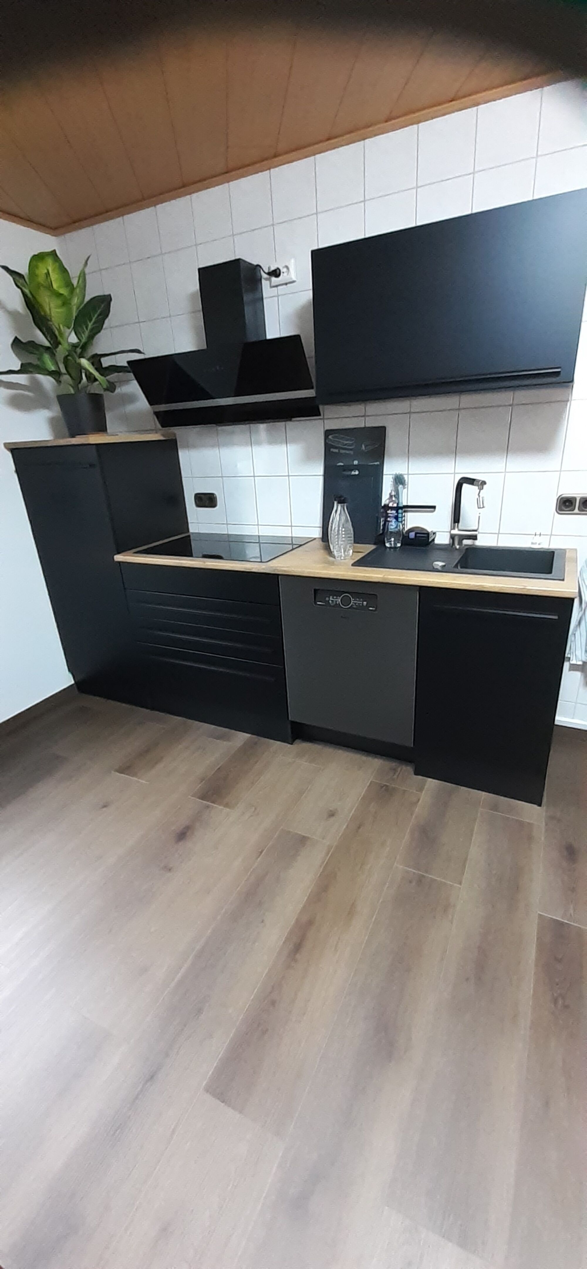 Bild 5 Bild 5