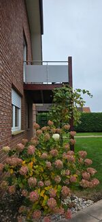 Wohnung Engelmann Bild 7 Wohnung Engelmann Bild 7