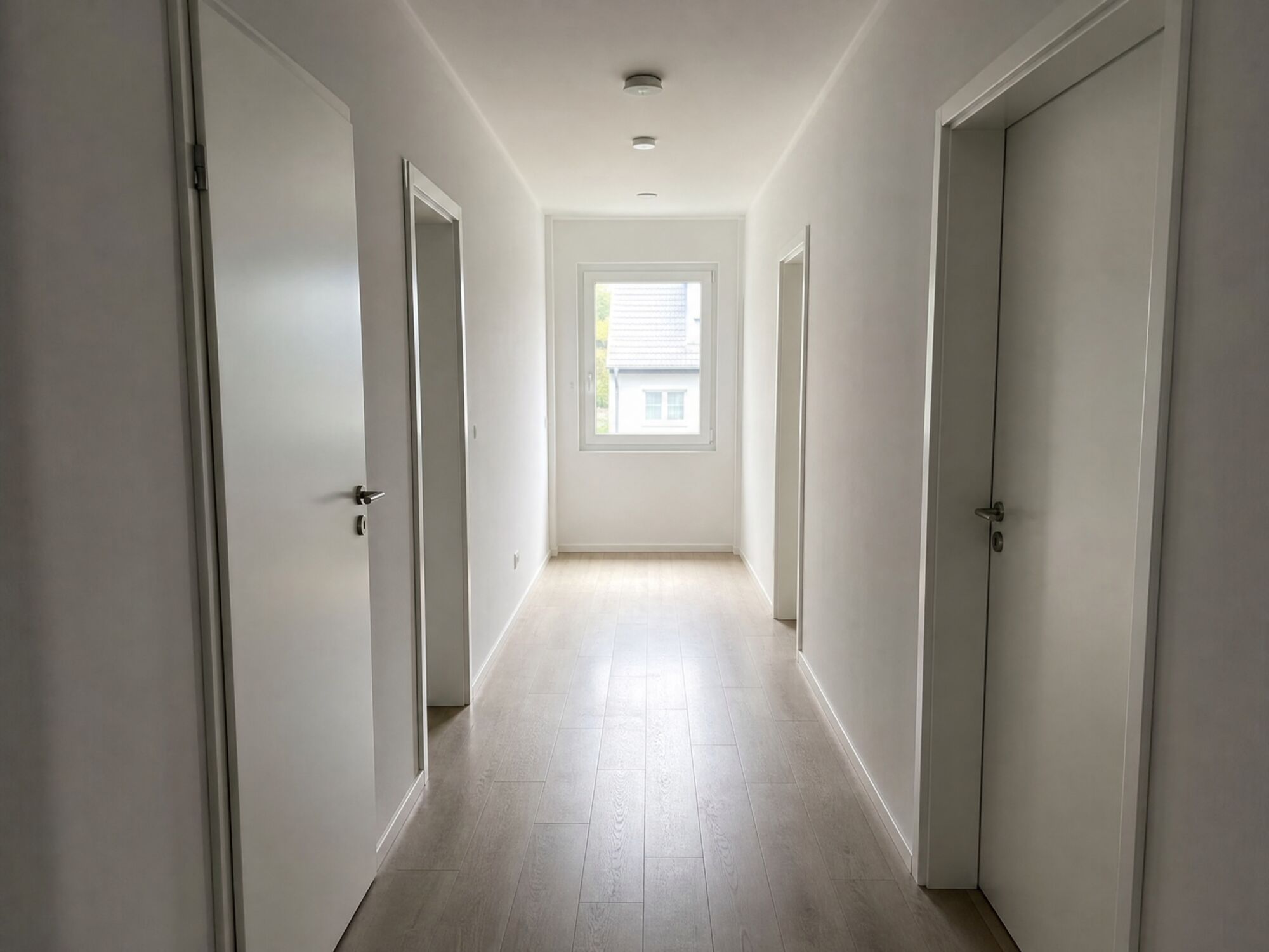 Bild 5 Bild 5